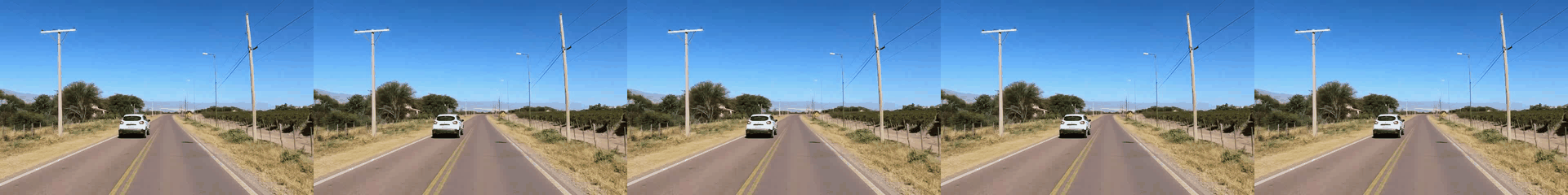 Car drives in opposite directions on different rollouts